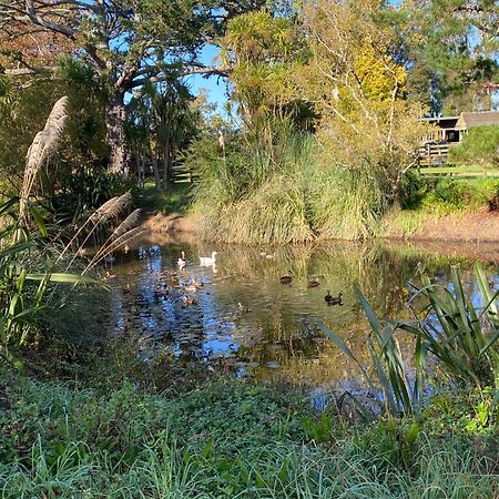 Willows Reach Lodge Kumeu Kültér fotó