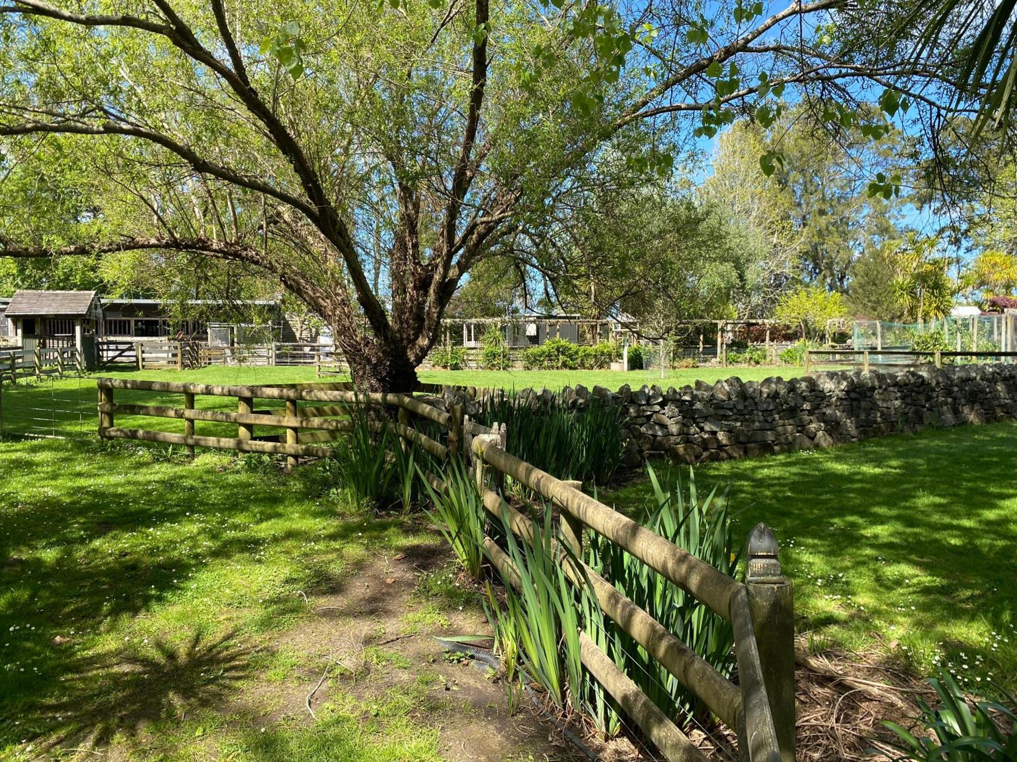 Willows Reach Lodge Kumeu Kültér fotó