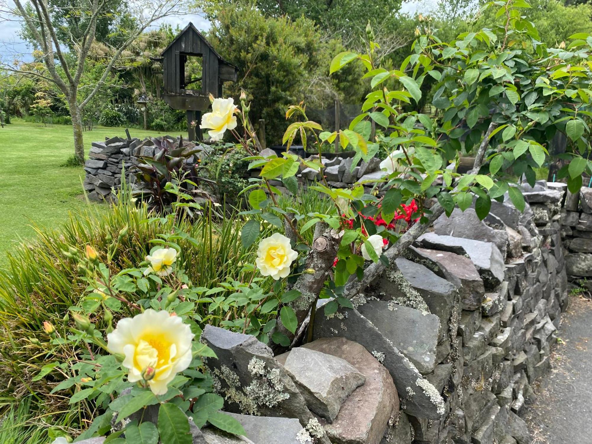 Willows Reach Lodge Kumeu Kültér fotó