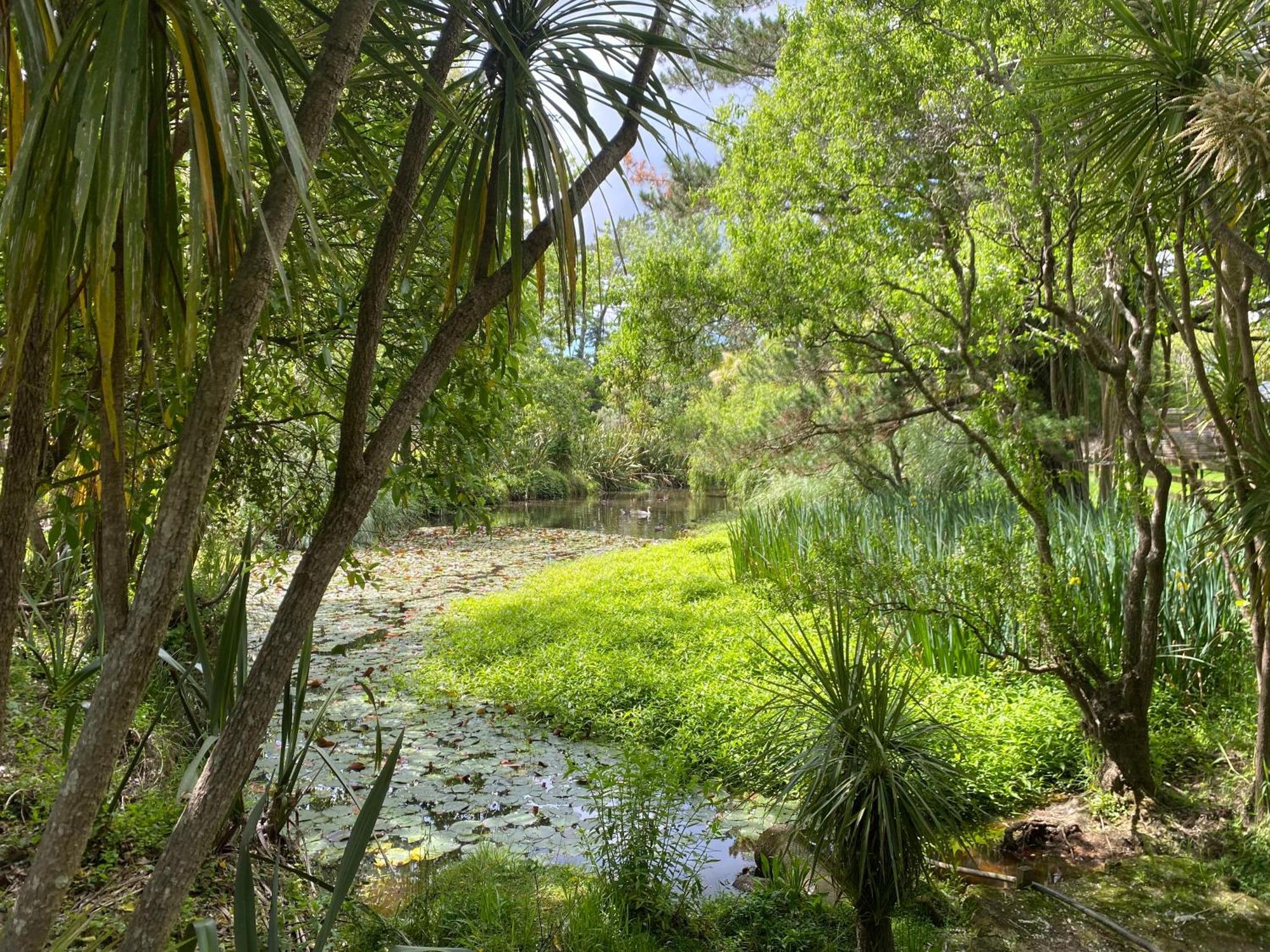 Willows Reach Lodge Kumeu Kültér fotó
