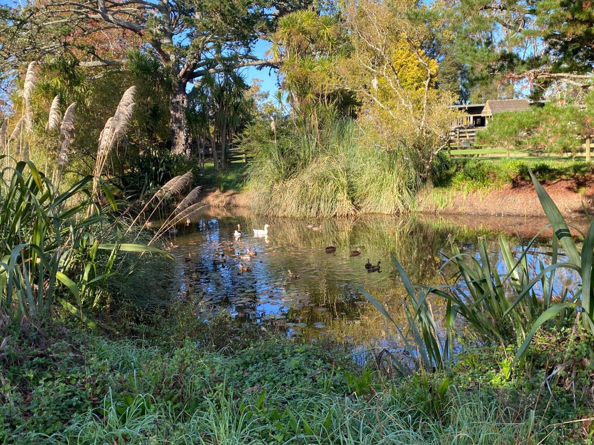 Willows Reach Lodge Kumeu Kültér fotó