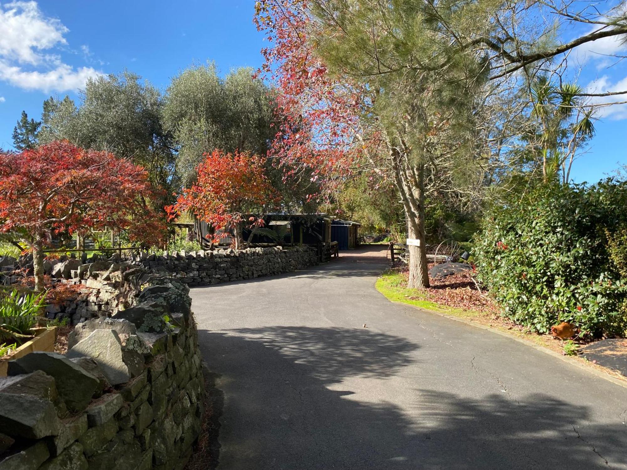 Willows Reach Lodge Kumeu Kültér fotó